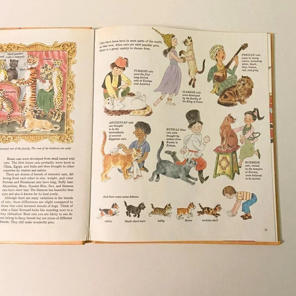 Vintage 1981 Classic Golden Book Joe Kaufmans Wings Paws Hoofs and Flippers - Picture 16 of 16